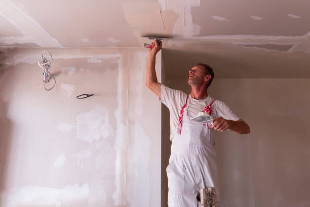 Professional Painting & Drywall Services in Petaluma, CA